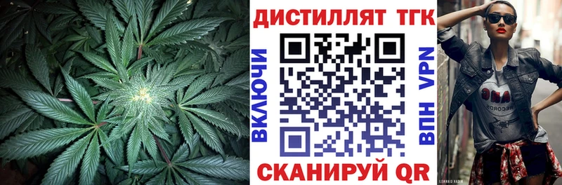 Купить где  Кисловодск  ТГК концентрат 