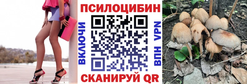 Купить закладки  Кисловодск  Псилоцибиновые грибы прущие грибы 