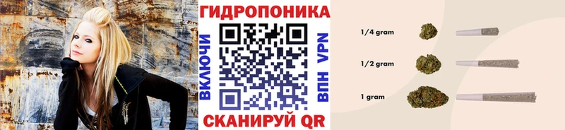 Каннабис Bruce Banner  Купить  Кисловодск 